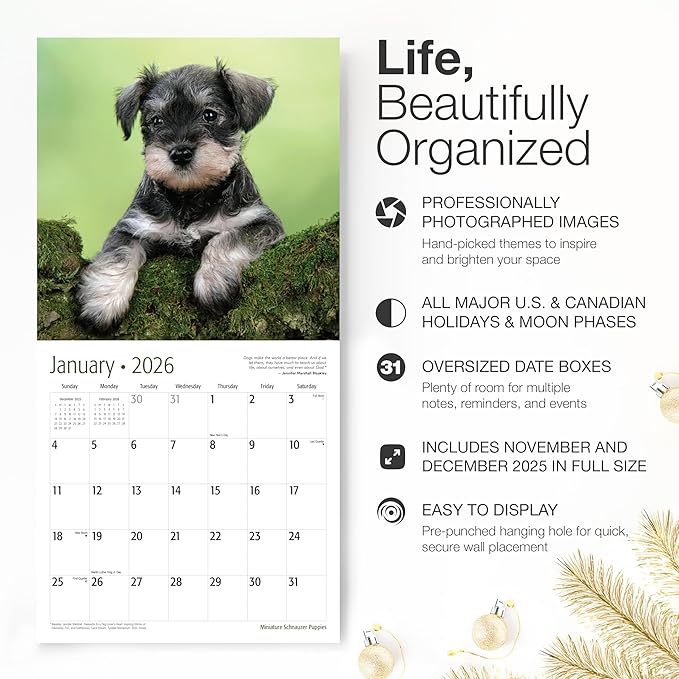 RED EMBER Miniature Schnauzer Puppies 2026 Wall Calendar 12 Month | 12" x 24" Open | Thick & Sturdy Paper | Holiday Gift | Cute Puppy Dog Calendar 2026