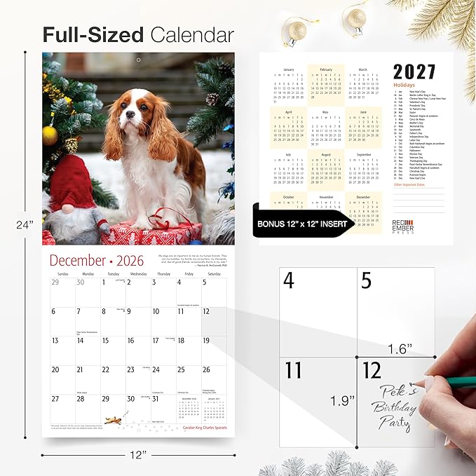 RED EMBER Cavalier King Charles Spaniels 2026 Wall Calendar 12 Month | 12" x 24" Open | Thick & Sturdy Paper | Holiday Gift | Cute Puppy Dog Calendar 2026