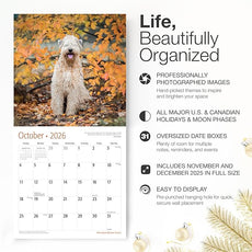 RED EMBER Soft Coated Wheaten Terriers 2026 Wall Calendar 12 Month | 12