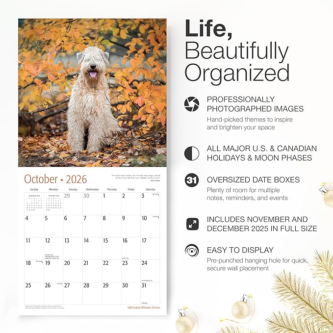 RED EMBER Soft Coated Wheaten Terriers 2026 Wall Calendar 12 Month | 12" x 24" Open | Thick & Sturdy Paper | Holiday Gift | Cute Puppy Dog Calendar 2026