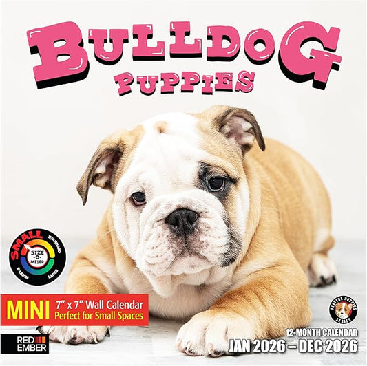 RED EMBER Bulldog Puppies 2026 Mini Wall Calendar 12 Month | 7" x 14" Open | Thick & Sturdy Paper | Holiday Gift | Cute Puppy Dog Calendar 2026