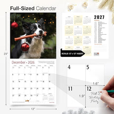 RED EMBER Border Collies 2026 Wall Calendar 12 Month | 12