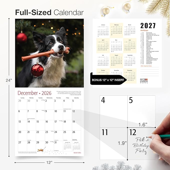 RED EMBER Border Collies 2026 Wall Calendar 12 Month | 12" x 24" Open | Thick & Sturdy Paper | Holiday Gift | Cute Puppy Dog Calendar 2026