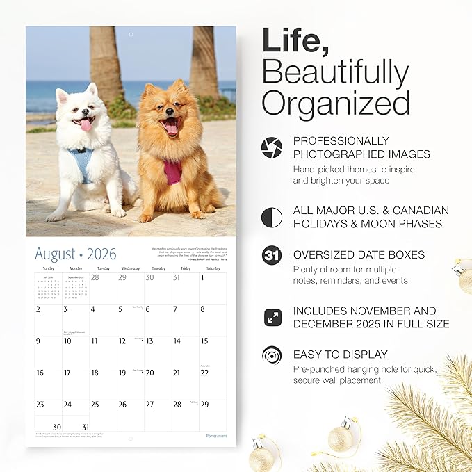RED EMBER Pomeranians 2026 Wall Calendar 12 Month | 12" x 24" Open | Thick & Sturdy Paper | Holiday Gift | Cute Puppy Dog Calendar 2026