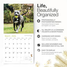 RED EMBER Pit Bulls 2026 Wall Calendar 12 Month | 12