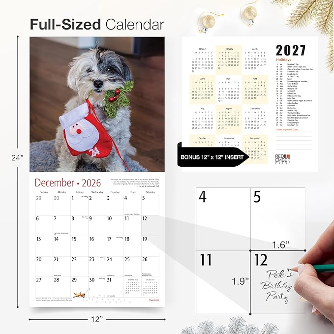 RED EMBER Havanese 2026 Wall Calendar 12 Month | 12" x 24" Open | Thick & Sturdy Paper | Holiday Gift | Cute Puppy Dog Calendar 2026