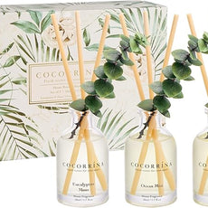 COCORRÍNA Eucalyptus Reed Diffuser Set of 3 - Eucalyptus & Moss, Clean Linen, Ocean Mist Scents, 1.7 fl oz Each, Total 5.1 oz, Scented Oil Diffusers for Home & Office