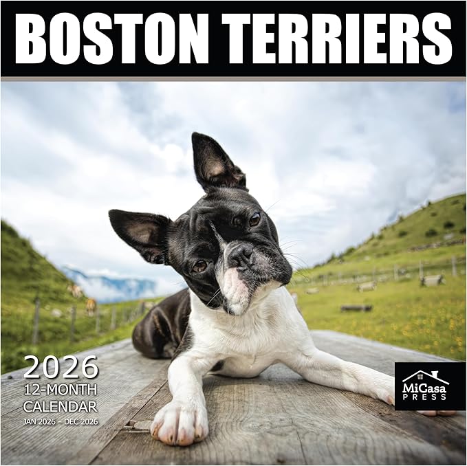 MICASA PRESS Boston Terriers 2026 Wall Calendar 12 Month | 12" x 24" Open | Thick & Sturdy Paper | Holiday Gift | Cute Puppy Dog Calendar 2026
