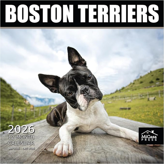 MICASA PRESS Boston Terriers 2026 Wall Calendar 12 Month | 12" x 24" Open | Thick & Sturdy Paper | Holiday Gift | Cute Puppy Dog Calendar 2026