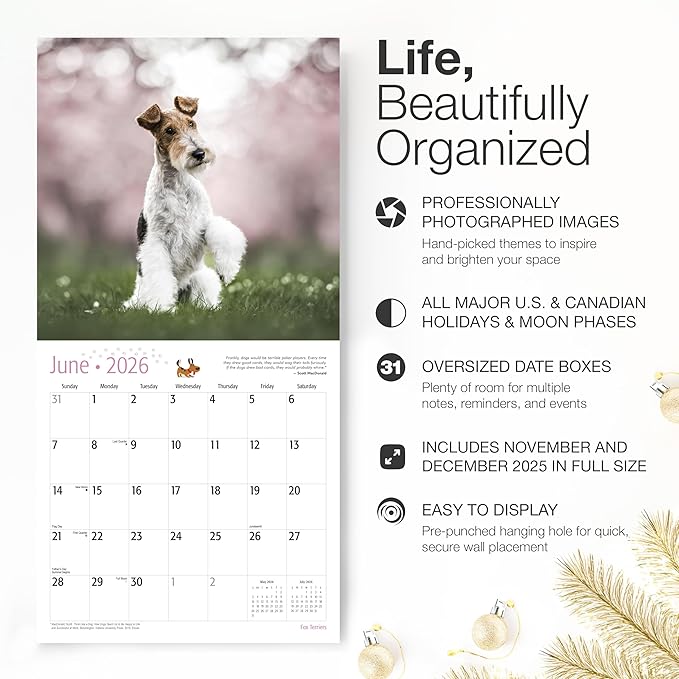 RED EMBER Fox Terriers 2026 Wall Calendar 12 Month | 12" x 24" Open | Thick & Sturdy Paper | Holiday Gift | Cute Puppy Dog Calendar 2026