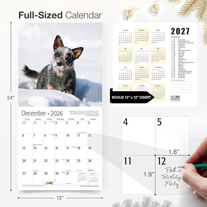 RED EMBER Australian Cattle Dog Puppies 2026 Wall Calendar 12 Month | 12" x 24" Open | Thick & Sturdy Paper | Holiday Gift | Cute Puppy Dog Calendar 2026