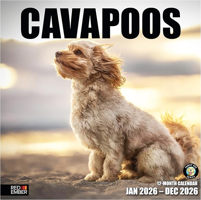 RED EMBER Cavapoos 2026 Wall Calendar 12 Month | 12" x 24" Open | Thick & Sturdy Paper | Holiday Gift | Cute Puppy Dog Calendar 2026