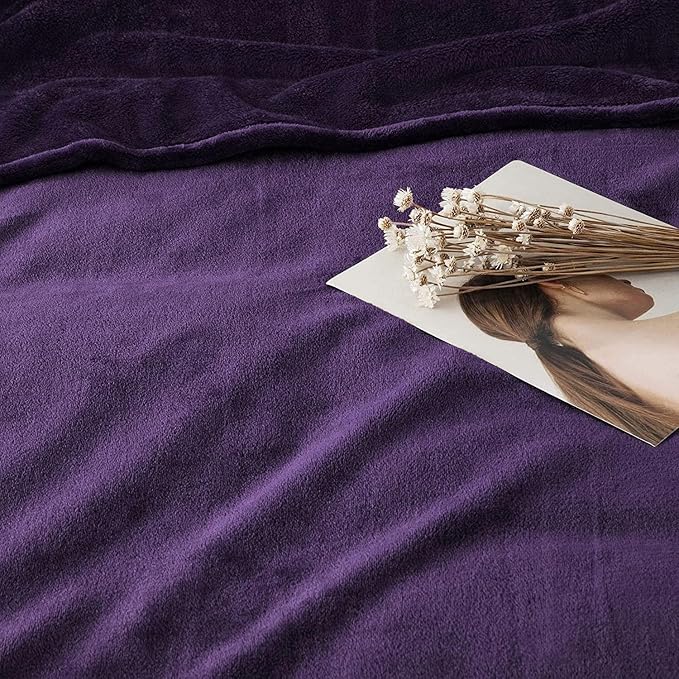 IR Imperial Rooms Fleece Blanket 12 Pack Twin Size 60 x 80 Inches - Super Soft Fluffy Throw Blanket for Sofa and Bed - Warm and Cozy Lightweight 400 GSM Microfiber Bed Throws Blankets (Twin, Purple)