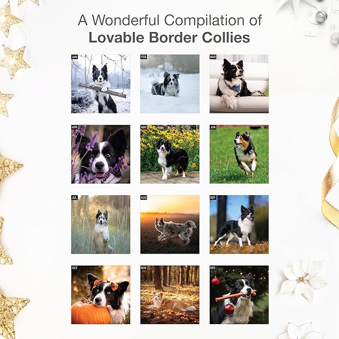 RED EMBER Border Collies 2026 Wall Calendar 12 Month | 12" x 24" Open | Thick & Sturdy Paper | Holiday Gift | Cute Puppy Dog Calendar 2026
