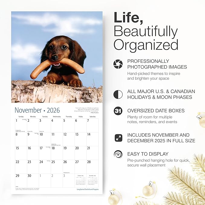RED EMBER Longhaired Dachshund Puppies 2026 Wall Calendar 12 Month | 12" x 24" Open | Thick & Sturdy Paper | Holiday Gift | Cute Weiner Puppy Dog Calendar 2026
