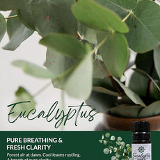 Essence Pearl Travel Case - Wearable Aromatherapy Kit with Nasal Diffuser Rings, Soaking Bay, and 5mL Essential Oil – Portable Wellness Gift Set for On?The?Go Self Care