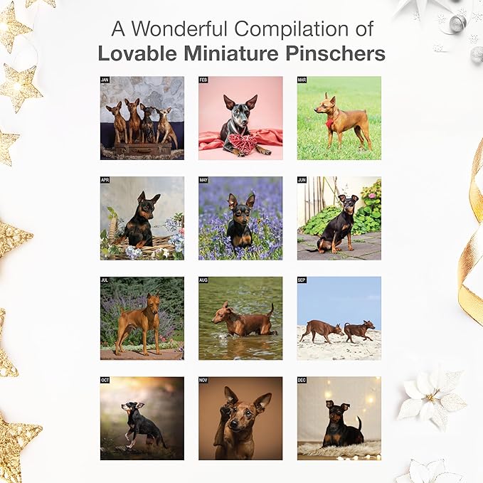 RED EMBER Miniature Pinschers 2026 Wall Calendar 12 Month | 12" x 24" Open | Thick & Sturdy Paper | Holiday Gift | Cute Puppy Dog Calendar 2026