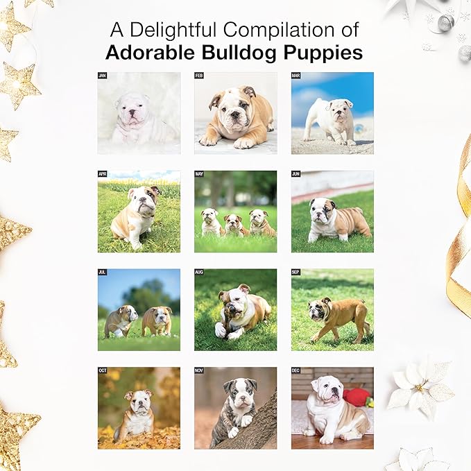 RED EMBER Bulldog Puppies 2026 Mini Wall Calendar 12 Month | 7" x 14" Open | Thick & Sturdy Paper | Holiday Gift | Cute Puppy Dog Calendar 2026