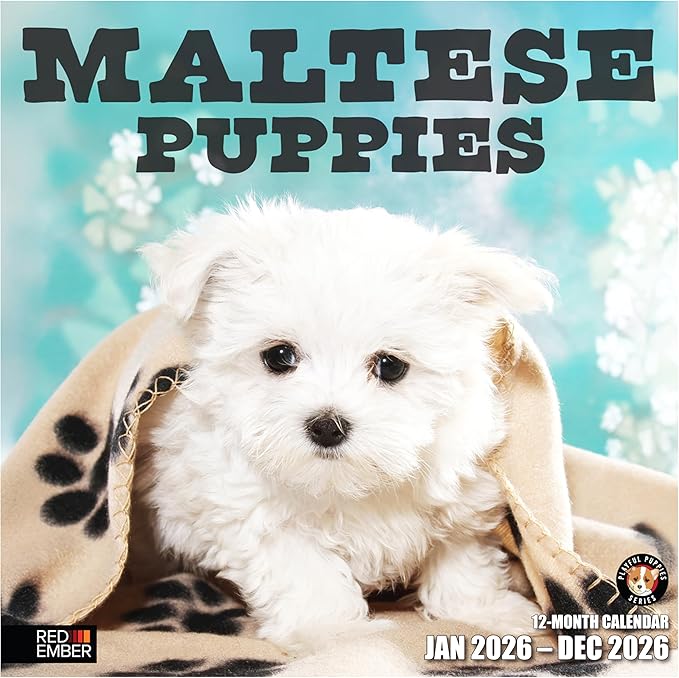 RED EMBER Maltese Puppies 2026 Wall Calendar 12 Month | 12" x 24" Open | Thick & Sturdy Paper | Holiday Gift | Cute Puppy Dog Calendar 2026
