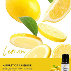 Essence Pearl Travel Case - Wearable Aromatherapy Kit with Nasal Diffuser Rings, Soaking Bay, and 5mL Essential Oil – Portable Wellness Gift Set for On?The?Go Self Care