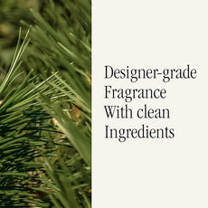 Pura & Homesick Home Scent Refill - Smart Home Air Diffuser - Up to 120-Hours of Luxury Fragrance per Refill - Home Essential - Clean & Safe Diffuser Fragrance - 2 Pack, Gone Hiking