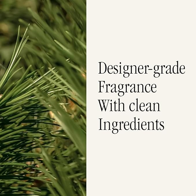 Pura & Homesick Home Scent Refill - Smart Home Air Diffuser - Up to 120-Hours of Luxury Fragrance per Refill - Home Essential - Clean & Safe Diffuser Fragrance - 2 Pack, Gone Hiking