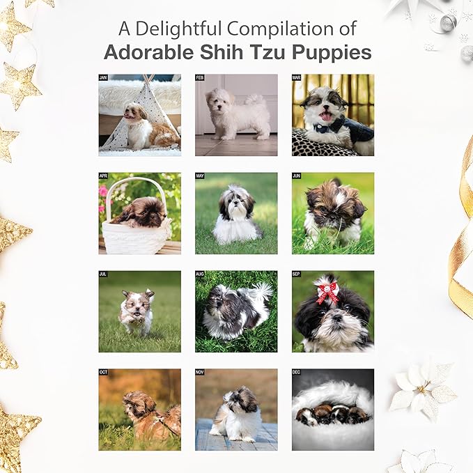 RED EMBER Shih Tzu Puppies 2026 Wall Calendar 12 Month | 12" x 24" Open | Thick & Sturdy Paper | Holiday Gift | Cute Puppy Dog Calendar 2026