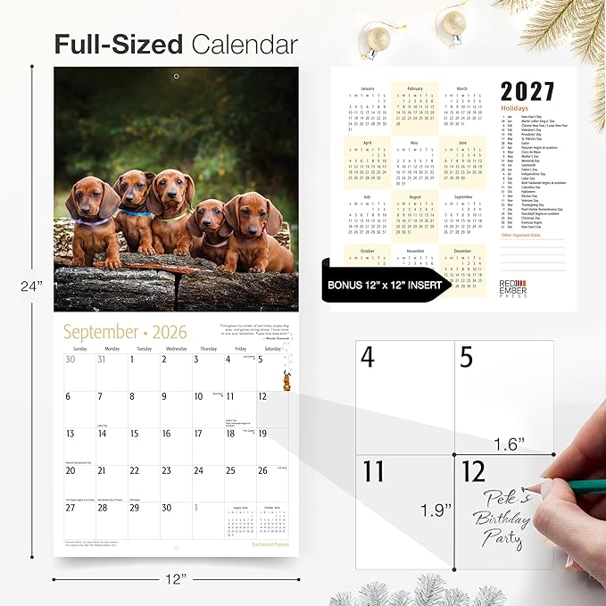 RED EMBER Dachshund Puppies 2026 Wall Calendar 12 Month | 12" x 24" Open | Thick & Sturdy Paper | Holiday Gift | Cute Weiner Puppy Dog Calendar 2026