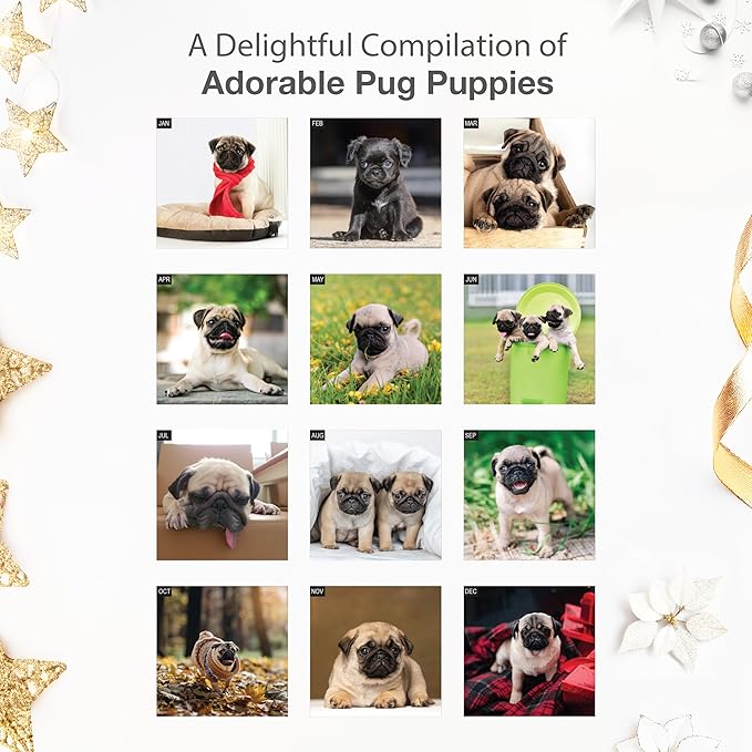 RED EMBER Pug Puppies 2026 Wall Calendar 12 Month | 12" x 24" Open | Thick & Sturdy Paper | Holiday Gift | Cute Puppy Dog Calendar 2026