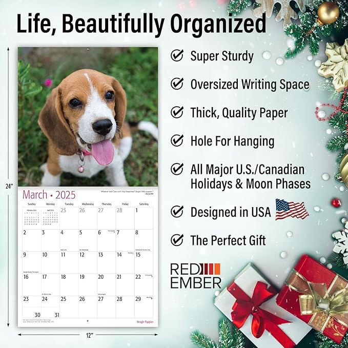 RED EMBER Beagle Puppies 2025 Wall Calendar 12 Month | 12" x 24" Open | Thick & Sturdy Paper | Giftable | Dog Calendar 2025