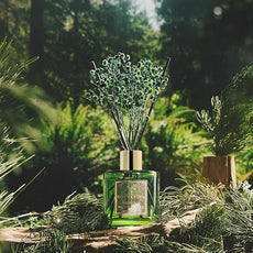 COCORRÍNA Reed Diffuser - Redwood National Park 6.7 Fl.oz Reed Diffuser Set with 8 Sticks & Preserved Baby's Breath, Reed Diffuser for Home Bathroom Shelf Decor