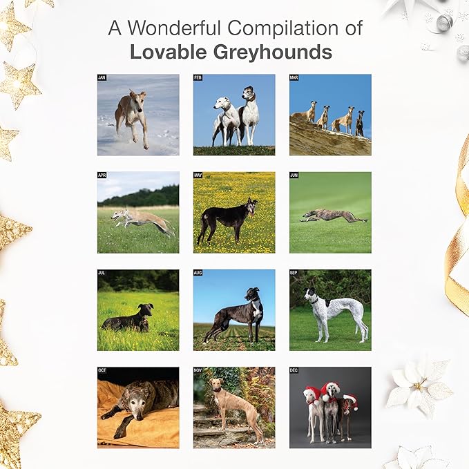 RED EMBER Greyhounds 2026 Wall Calendar 12 Month | 12" x 24" Open | Thick & Sturdy Paper | Holiday Gift | Cute Puppy Dog Calendar 2026