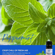 Essence Pearl Travel Case - Wearable Aromatherapy Kit with Nasal Diffuser Rings, Soaking Bay, and 5mL Essential Oil – Portable Wellness Gift Set for On?The?Go Self Care