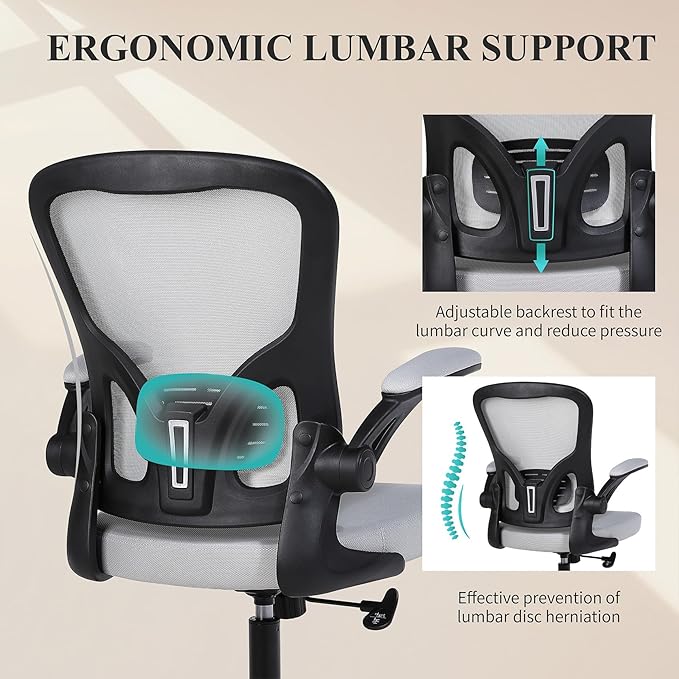 Flysky Ergonomic Office Chair, Mesh Home Office Desk Chair with Flip-up Arms and Lumbar Support, Height Adjustable, Swivel, Gray