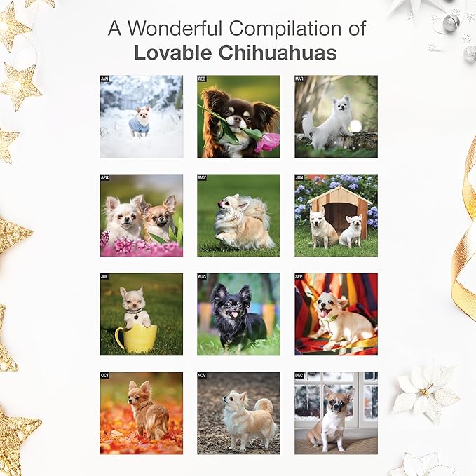 RED EMBER Chihuahuas 2026 Wall Calendar 12 Month | 12" x 24" Open | Thick & Sturdy Paper | Holiday Gift | Cute Puppy Dog Calendar 2026