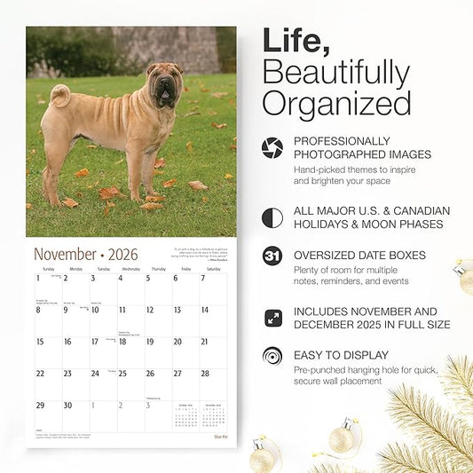RED EMBER Shar-Pei 2026 Wall Calendar 12 Month | 12" x 24" Open | Thick & Sturdy Paper | Holiday Gift | Cute Puppy Dog Calendar 2026