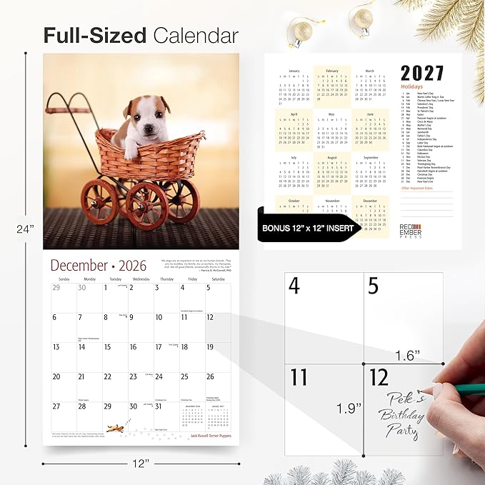 RED EMBER Jack Russell Terrier Puppies 2026 Mini Wall Calendar 12 Month | 12" x 24" Open | Thick & Sturdy Paper | Holiday Gift | Cute Dog Puppy Calendar 2026