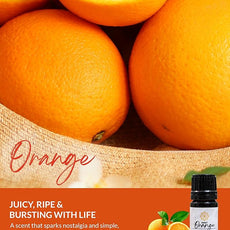 Essence Pearl Travel Case - Wearable Aromatherapy Kit with Nasal Diffuser Rings, Soaking Bay, and 5mL Essential Oil – Portable Wellness Gift Set for On-The-Go Self Care