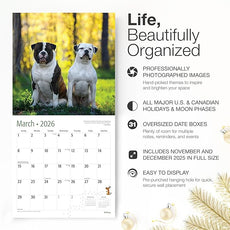 RED EMBER English and American Bulldogs 2026 Wall Calendar 12 Month | 12