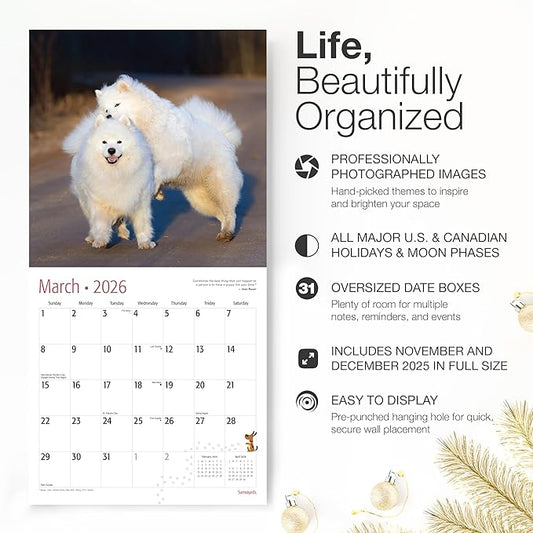 RED EMBER Samoyeds 2026 Wall Calendar 12 Month | 12" x 24" Open | Thick & Sturdy Paper | Holiday Gift | Cute Puppy Dog Calendar 2026