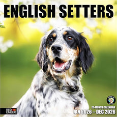 RED EMBER English Setters 2026 Wall Calendar 12 Month | 12