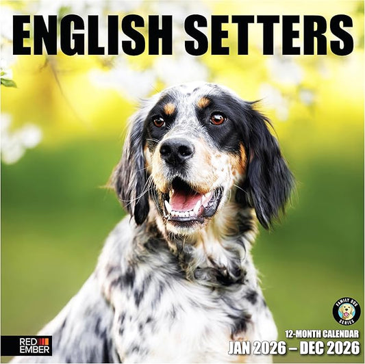 RED EMBER English Setters 2026 Wall Calendar 12 Month | 12" x 24" Open | Thick & Sturdy Paper | Holiday Gift | Cute Puppy Dog Calendar 2026