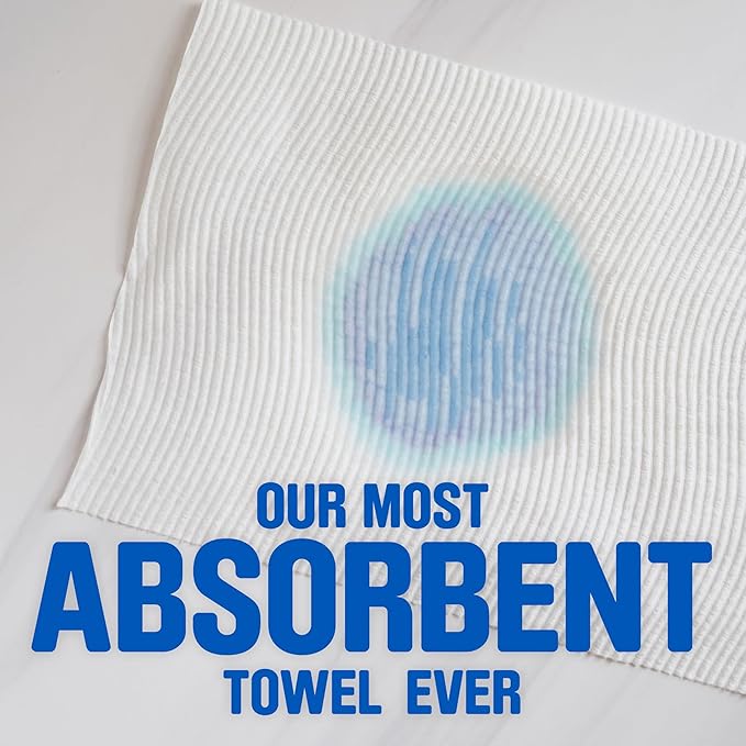Scott Paper Towels, Choose-A-Sheet, 12 Double Rolls = 24 Regular Rolls (100 Sheets Per Roll)