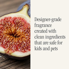 Pura x Studio McGee Home Scent Refill - Smart Air Diffuser - Up to 120-Hours of Luxury Fragrance per Refill - Home Essential - Clean & Safe Diffuser Fragrance - 2 Pack, Violet Fig