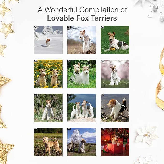 RED EMBER Fox Terriers 2026 Wall Calendar 12 Month | 12" x 24" Open | Thick & Sturdy Paper | Holiday Gift | Cute Puppy Dog Calendar 2026