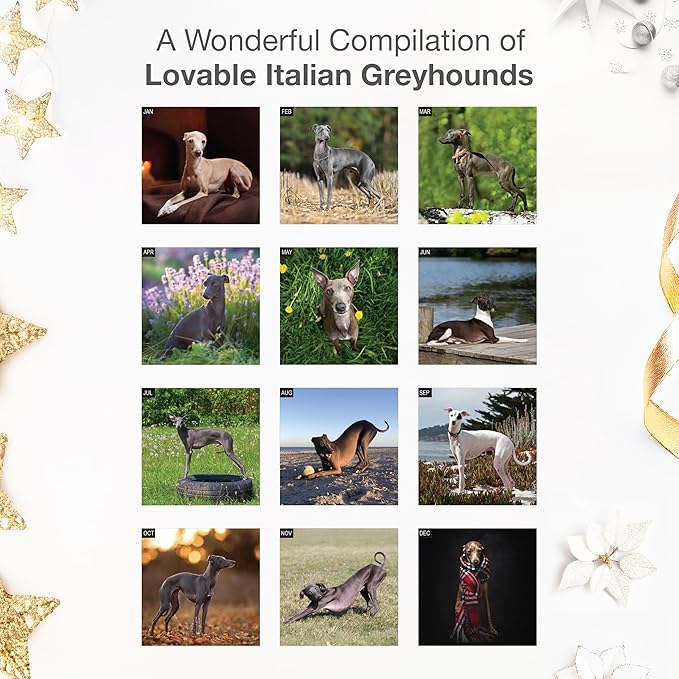 RED EMBER Italian Greyhounds 2026 Wall Calendar 12 Month | 12" x 24" Open | Thick & Sturdy Paper | Holiday Gift | Cute Puppy Dog Calendar 2026
