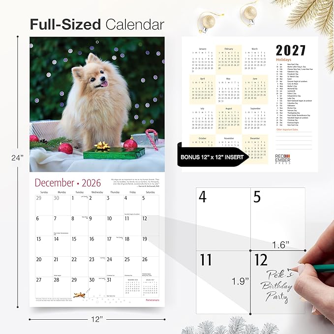 RED EMBER Pomeranians 2026 Wall Calendar 12 Month | 12" x 24" Open | Thick & Sturdy Paper | Holiday Gift | Cute Puppy Dog Calendar 2026