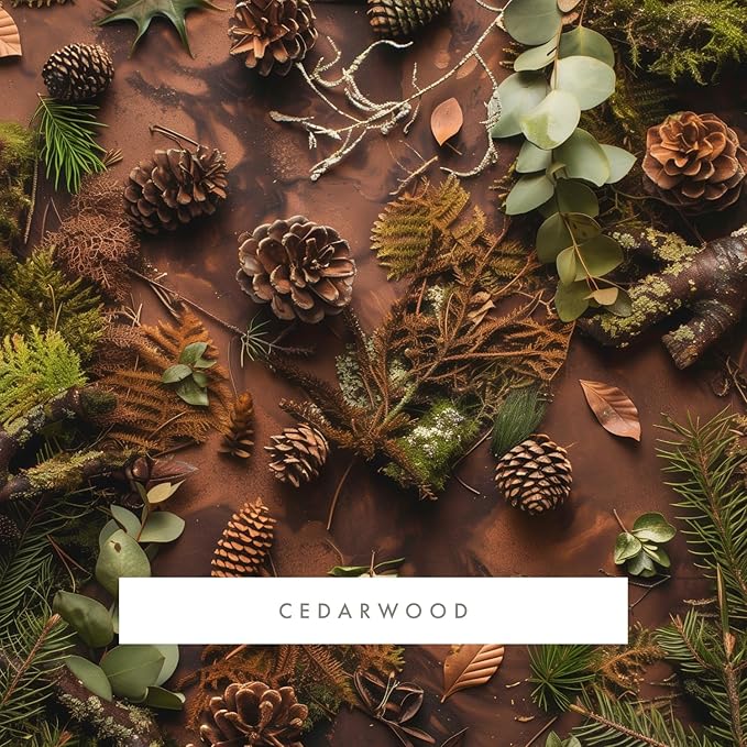 ScentAir Whisper Home Monthly Plug-in Refill, Fragrance Cartridge for Home and Office, Amazon Exclusive, Cedarwood