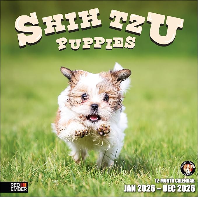 RED EMBER Shih Tzu Puppies 2026 Wall Calendar 12 Month | 12" x 24" Open | Thick & Sturdy Paper | Holiday Gift | Cute Puppy Dog Calendar 2026