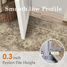 3x4 Washable Area Rug for Entryway Brown Vintage Non-Slip Low Pile Distressed Rustic Carpet Lightweight Vacuumable Door Mat Soft Small Door Mat Small Throw Rug for Entrance